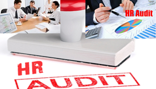 What Is A Human Resources Audit Human Resource Management