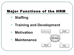 Major hr functions include job recruitment organization pool