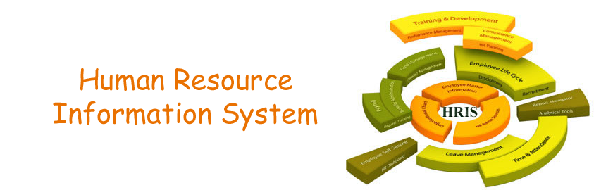 solutions-offered-by-hris-systems-human-resource-management