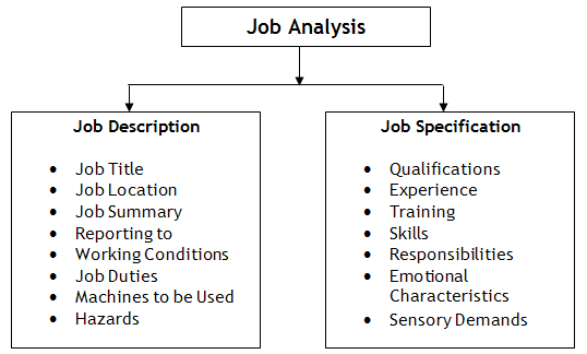 Job Description Job Specification Human Resource Management