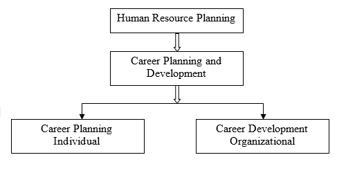 what-is-career-planning-human-resource-management