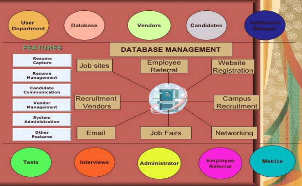 Features Of Benchmarking Recruitment Process | Human Resource Management