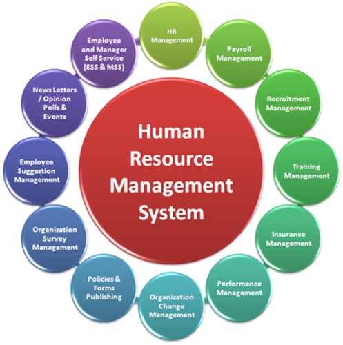 human-resource-systems-oec-strategic-solutions